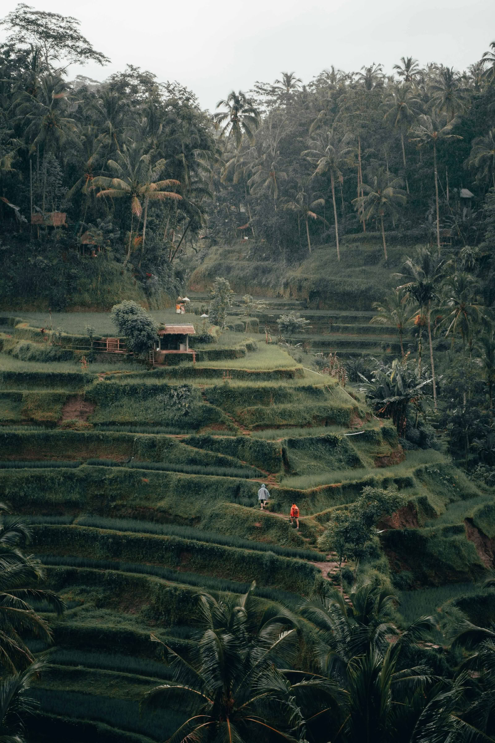 Explore Bali's Countryside