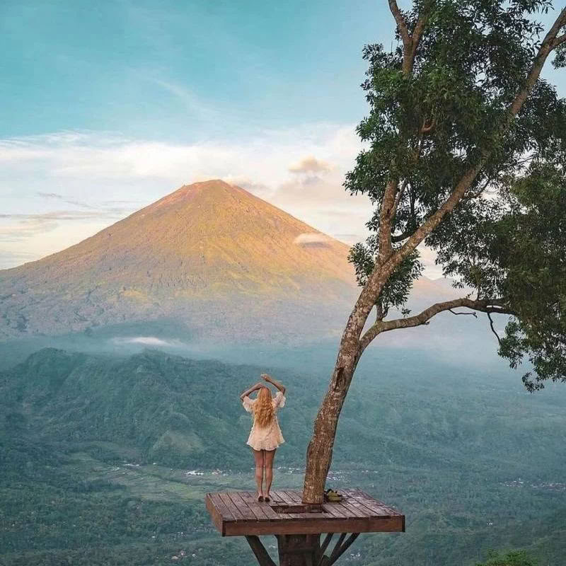 Discover the Wonders of North Bali