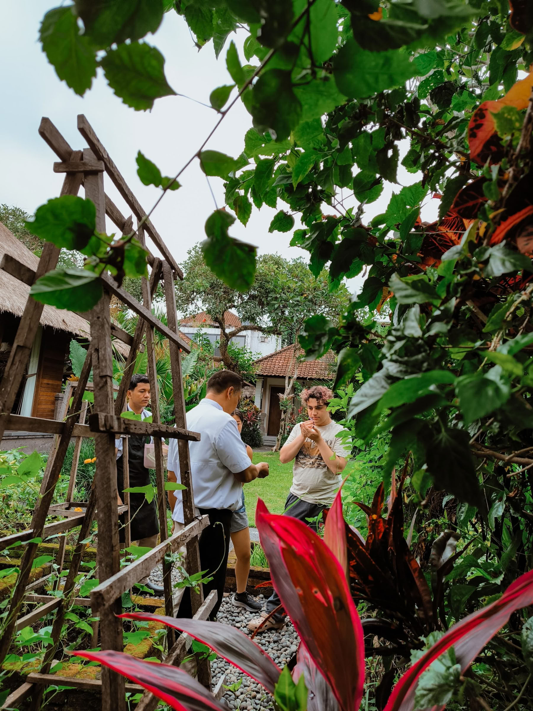 Discover the Wonders of North Bali