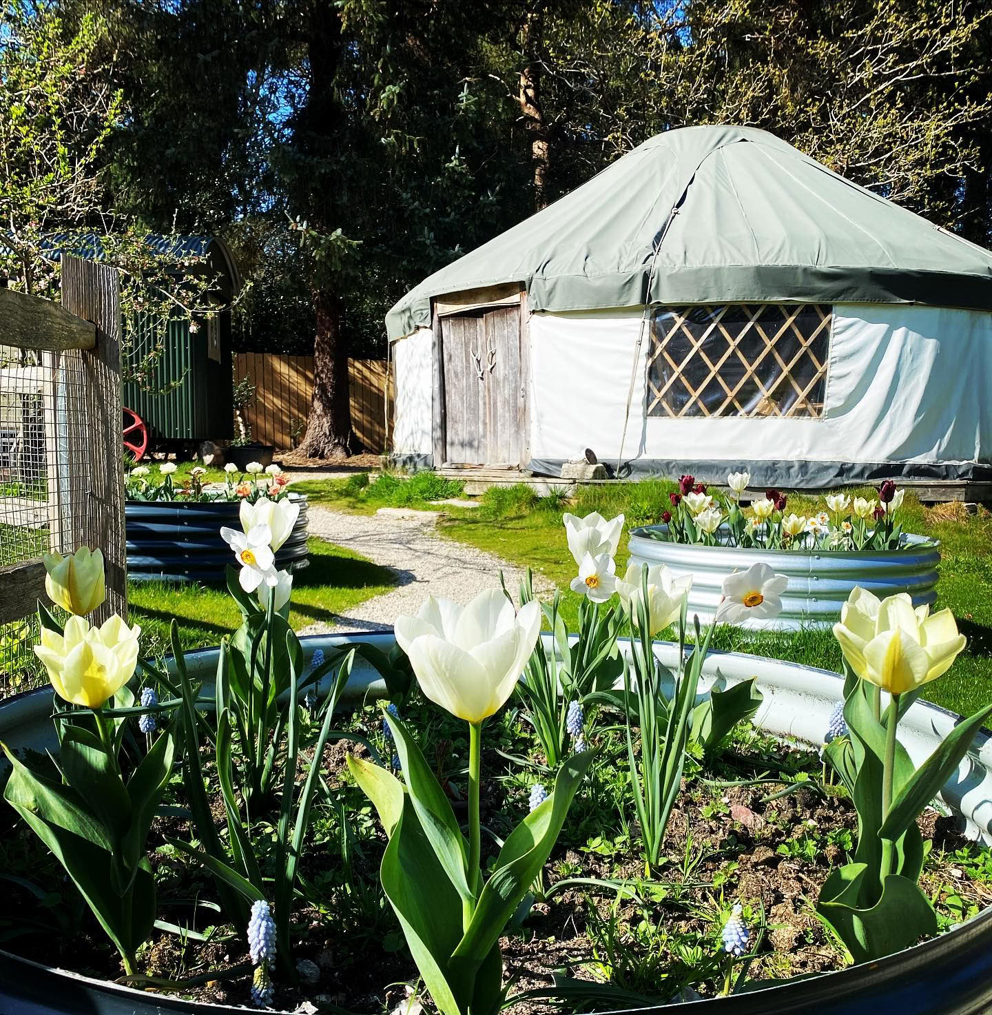 Soulful Vagus Reset Autumn Day Retreat