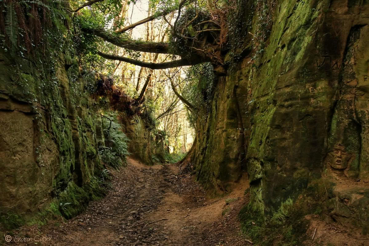 Finding Bliss Nervous System Retreat