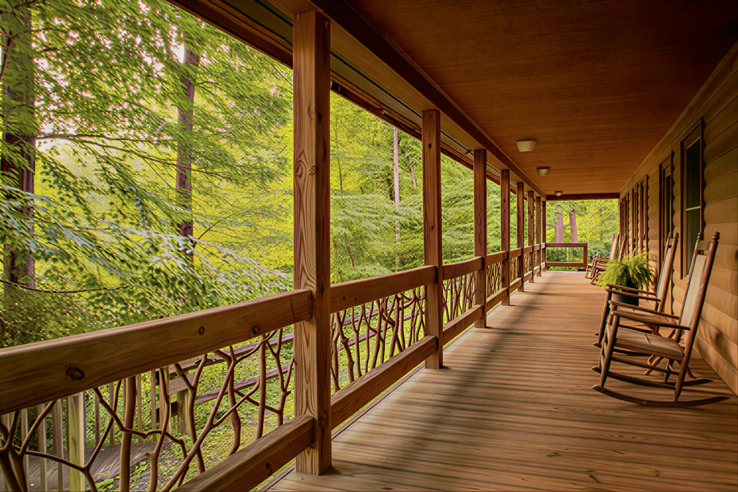 Mt. Mitchell Yoga + Hiking Retreat