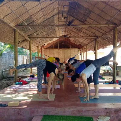 21 Days Zen Yoga Course – Harmony of mind, body and spirit