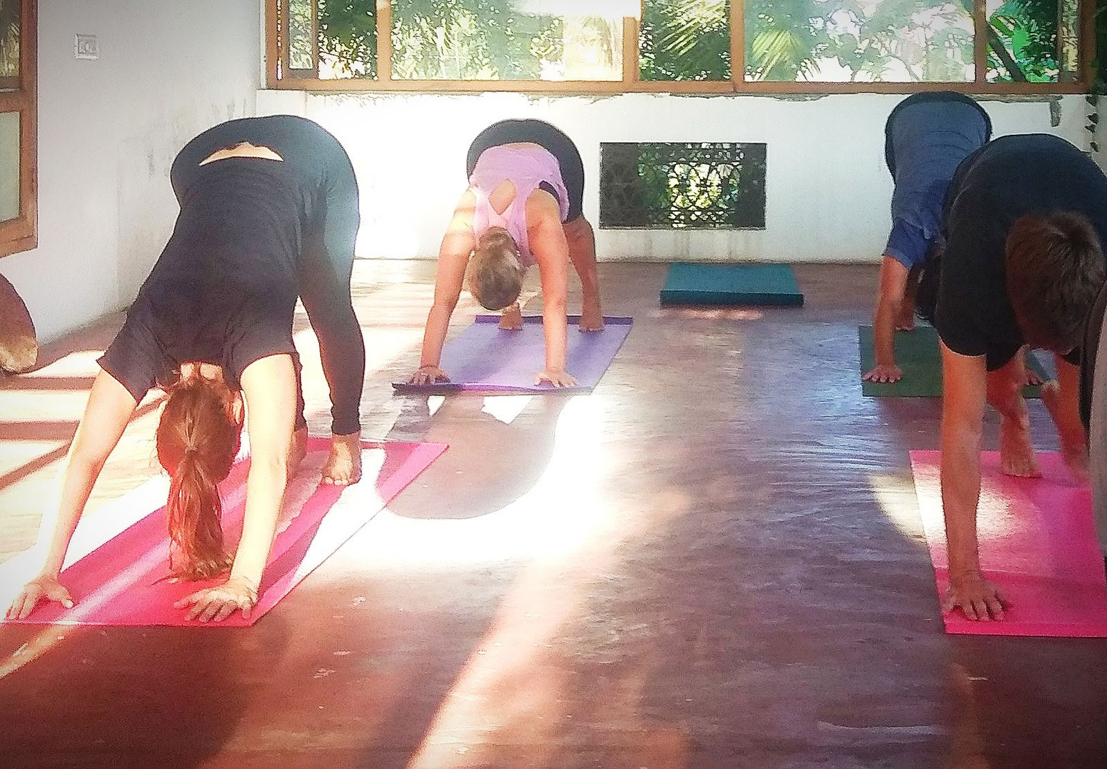8 Day Beachside Wellness Retreat with Ayurveda Yoga and Zen Meditation in Alleppey, Kerala