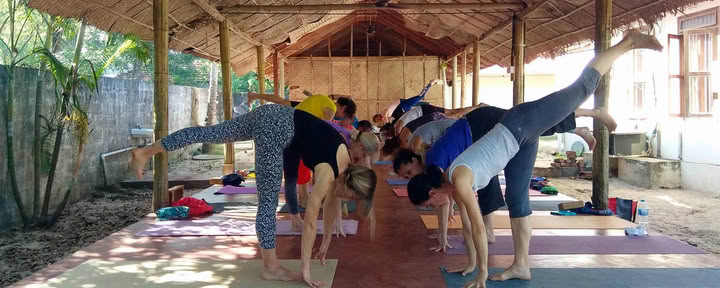 8 Day Beachside Wellness Retreat with Ayurveda Yoga and Zen Meditation in Alleppey, Kerala