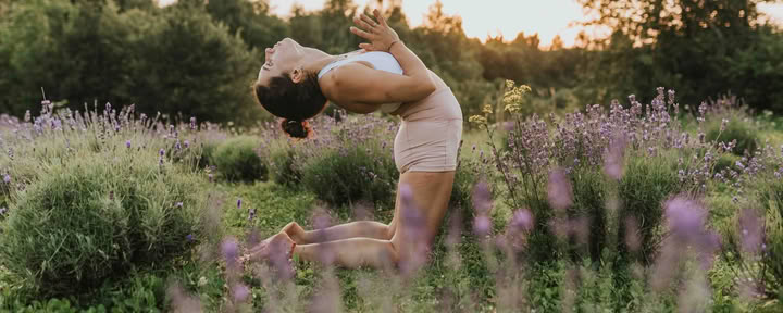 Flexibility