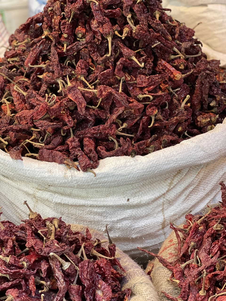 Journey with Kristina & Navid