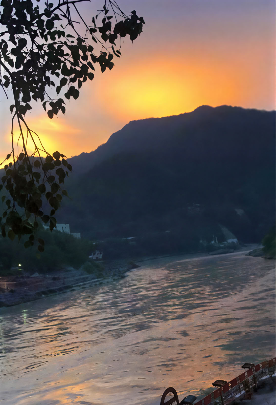 Ayurveda Course in Rishikesh