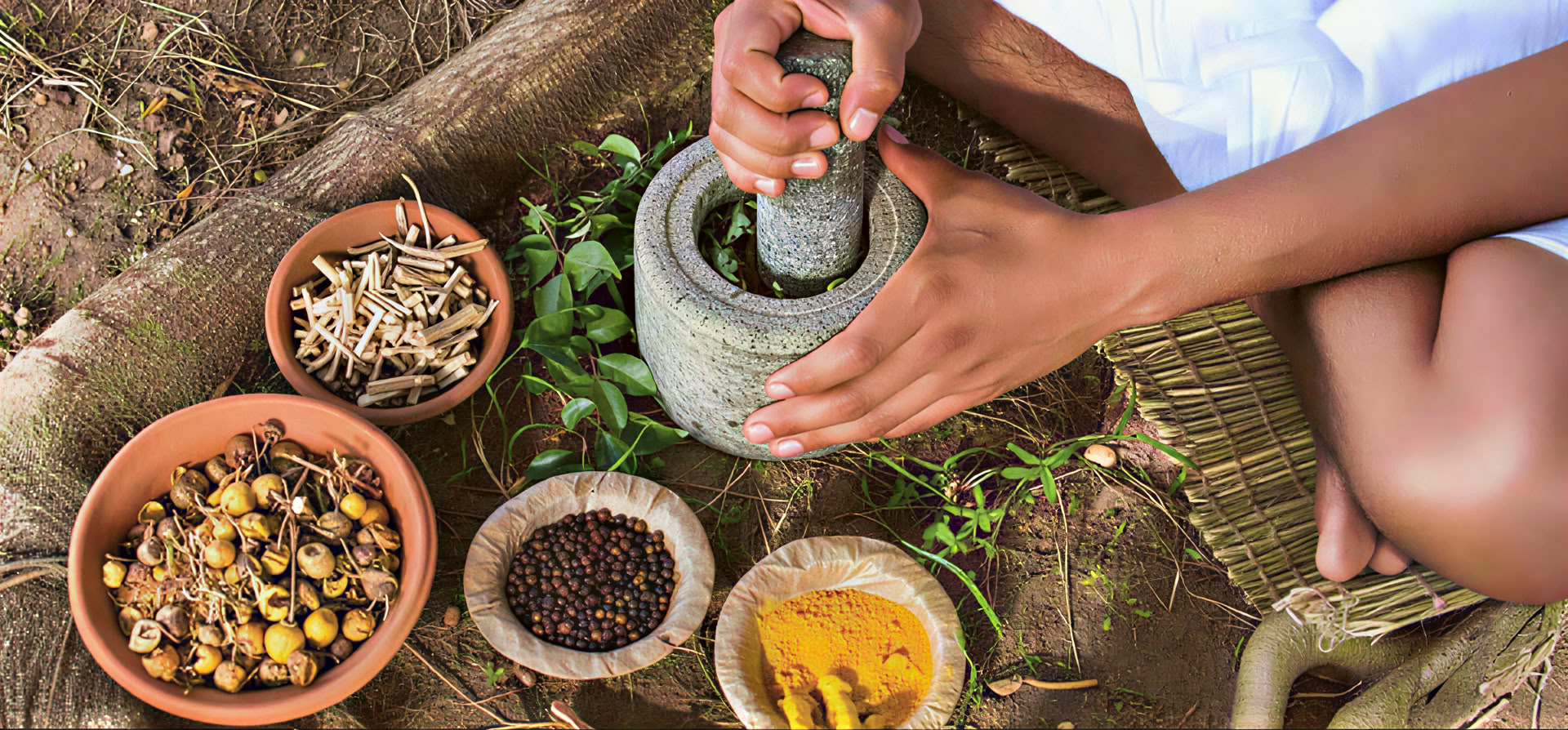 Ayurveda Teacher Training in Rishikesh