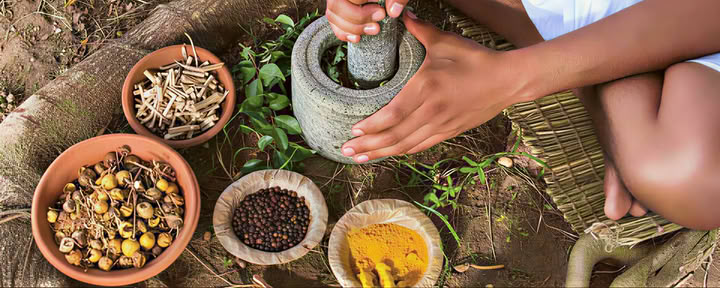 Ayurveda Teacher Training in Rishikesh
