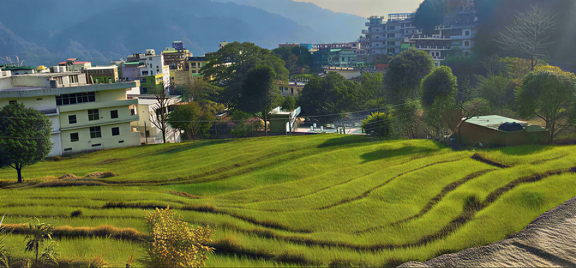 Ashtanga Yoga Retreat