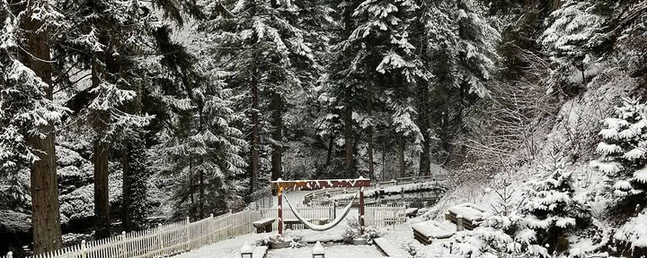 Intensive Yoga and Wellness Retreat in the French Alps