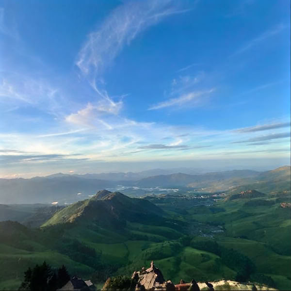 Yoga Retreats
