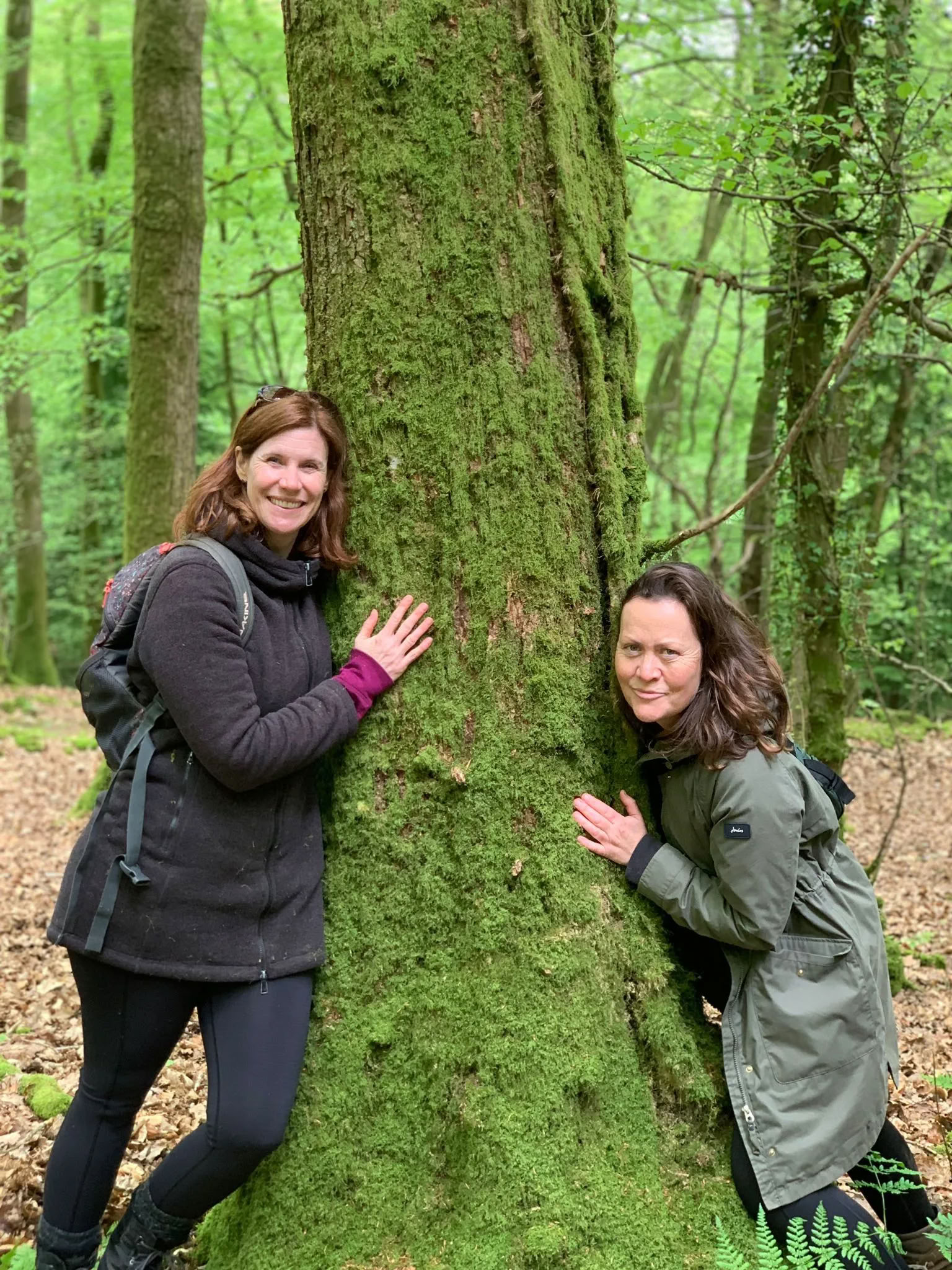 Autumn Yoga and Wellbeing Retreat