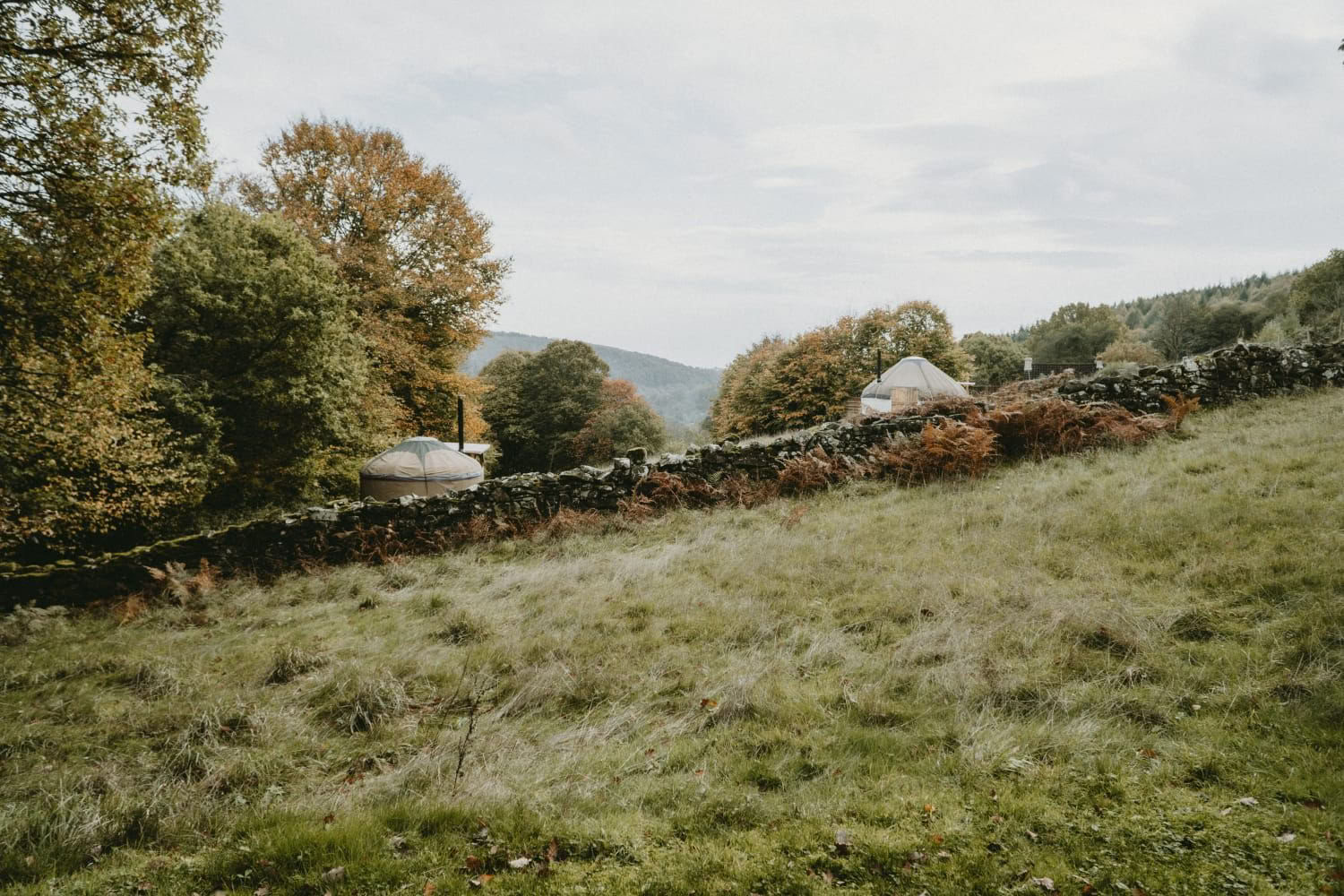 Autumn Yoga and Wellbeing Retreat