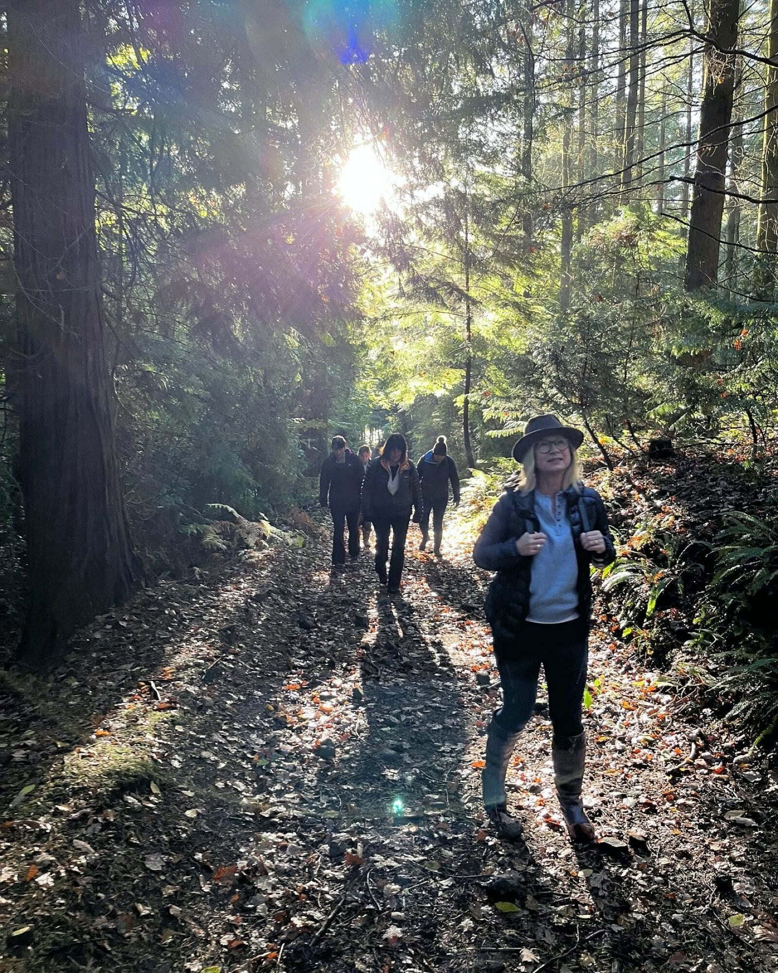 Forest Bathing - Shinrin Yoku