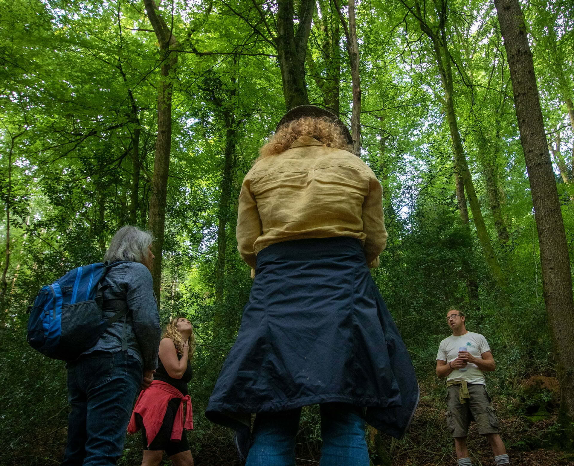 Forest Bathing - Shinrin Yoku