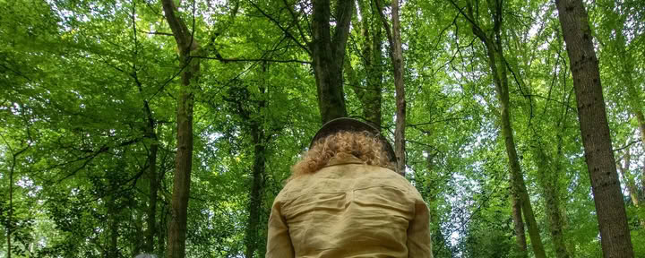 Forest Bathing - Shinrin Yoku