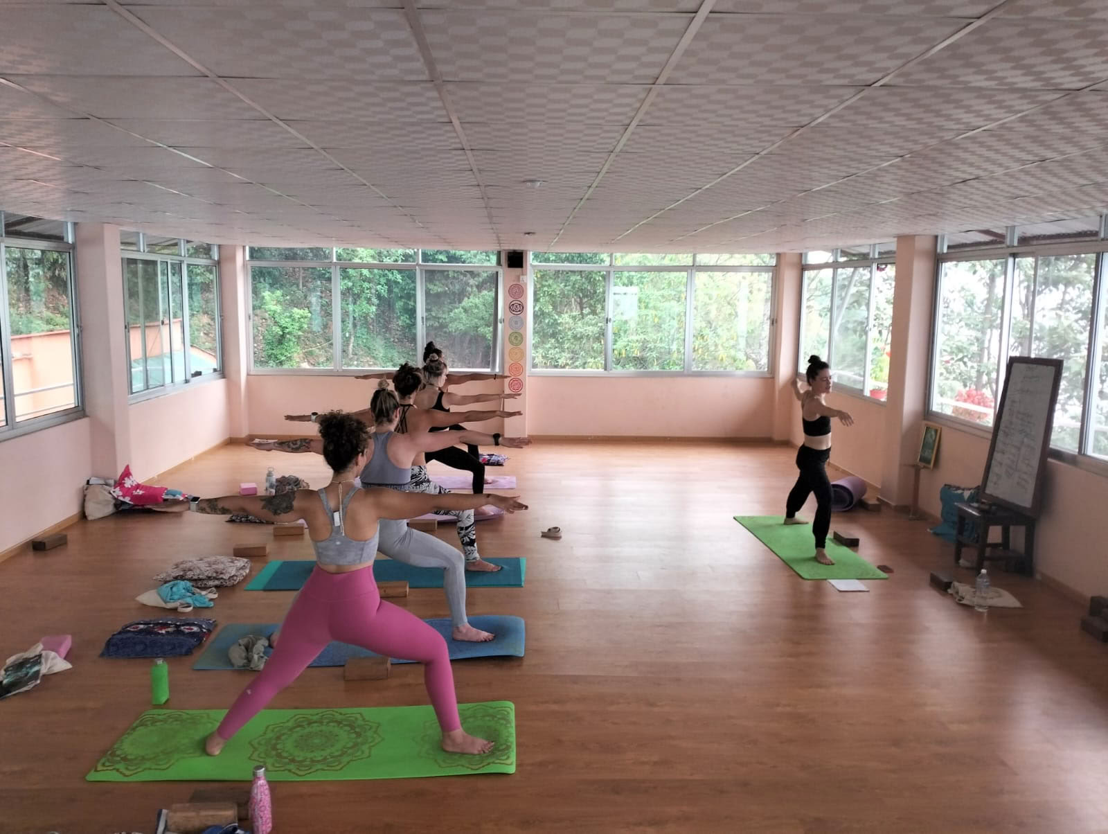Aerial Yoga Course