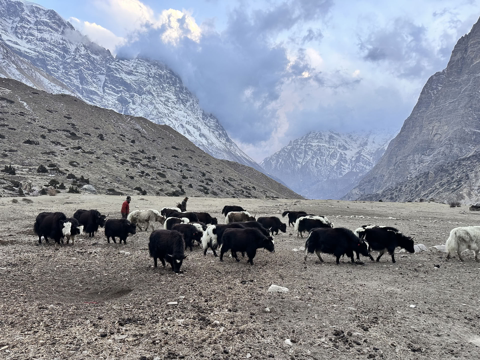 Annapurna circuit yoga trek with Tilicho lake