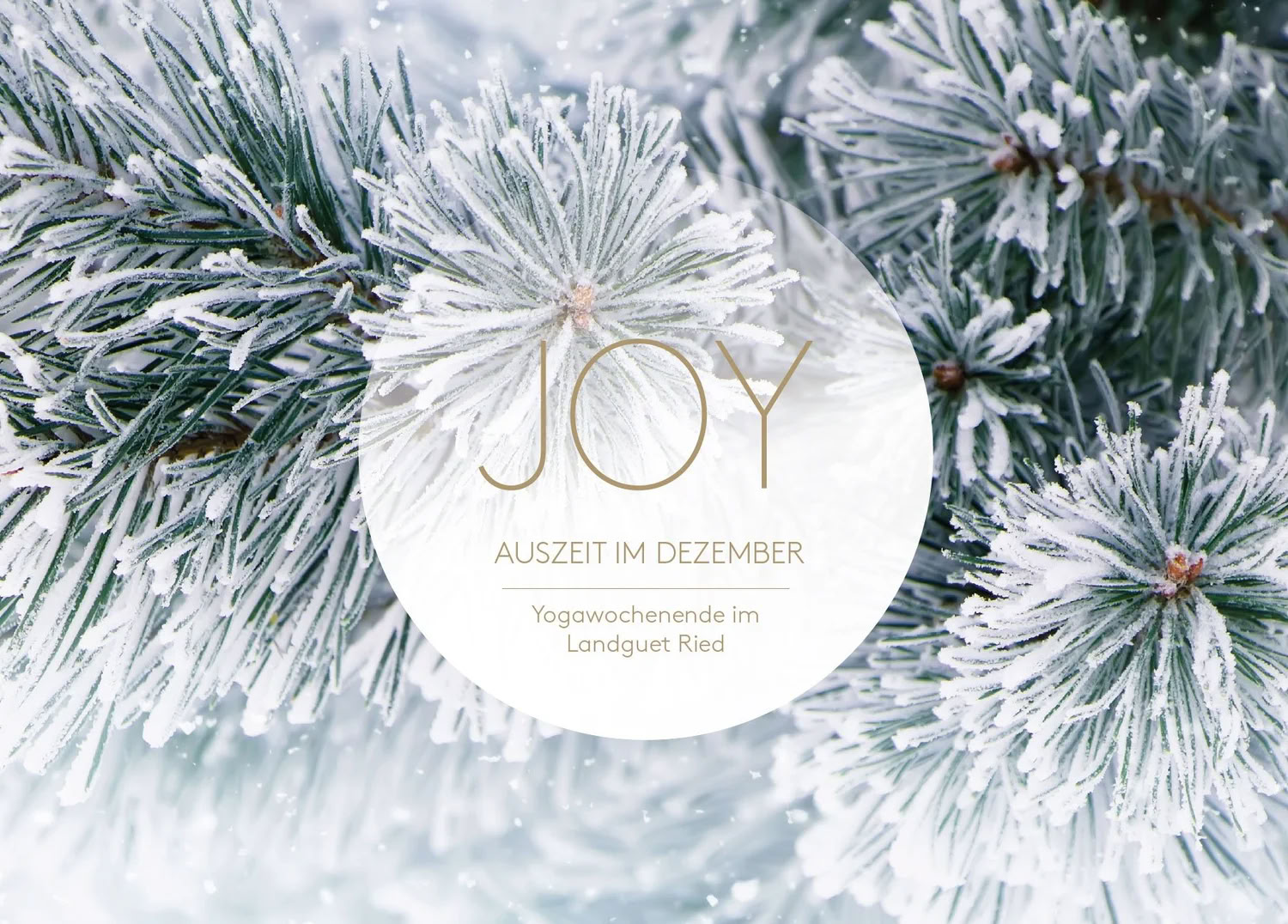 Yoga Break in December | with Joy Yoga — Landguet Ried, Center for Mindful Living | Retreat Center & Seminar House