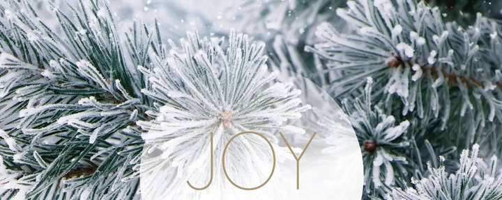 Yoga Break in December | with Joy Yoga — Landguet Ried, Center for Mindful Living | Retreat Center & Seminar House