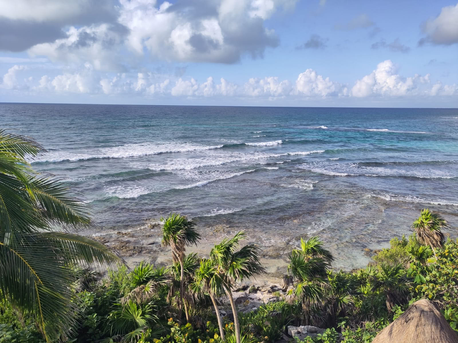 10 Days of Ocean Flow Yoga and Mayan Jungle Excursions