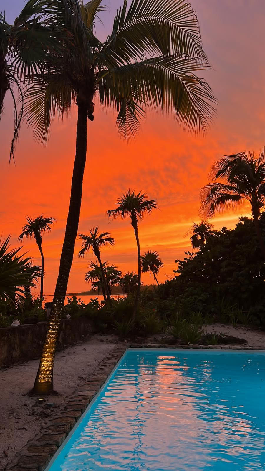 7 Day Oceanfront Pilates Retreat with Cenote and Snorkeling Tour