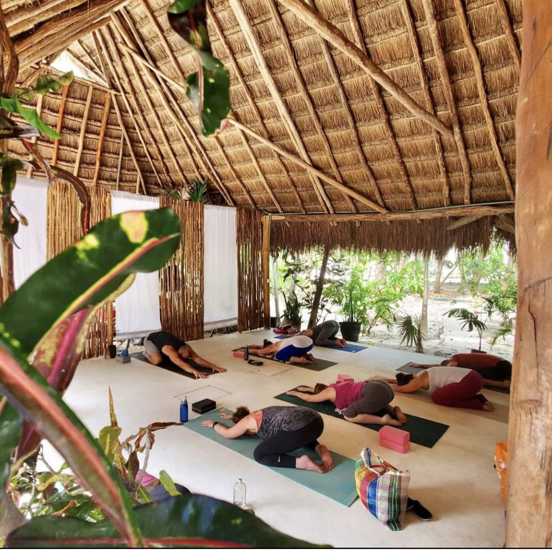 7 Day Oceanfront Pilates Retreat with Cenote and Snorkeling Tour