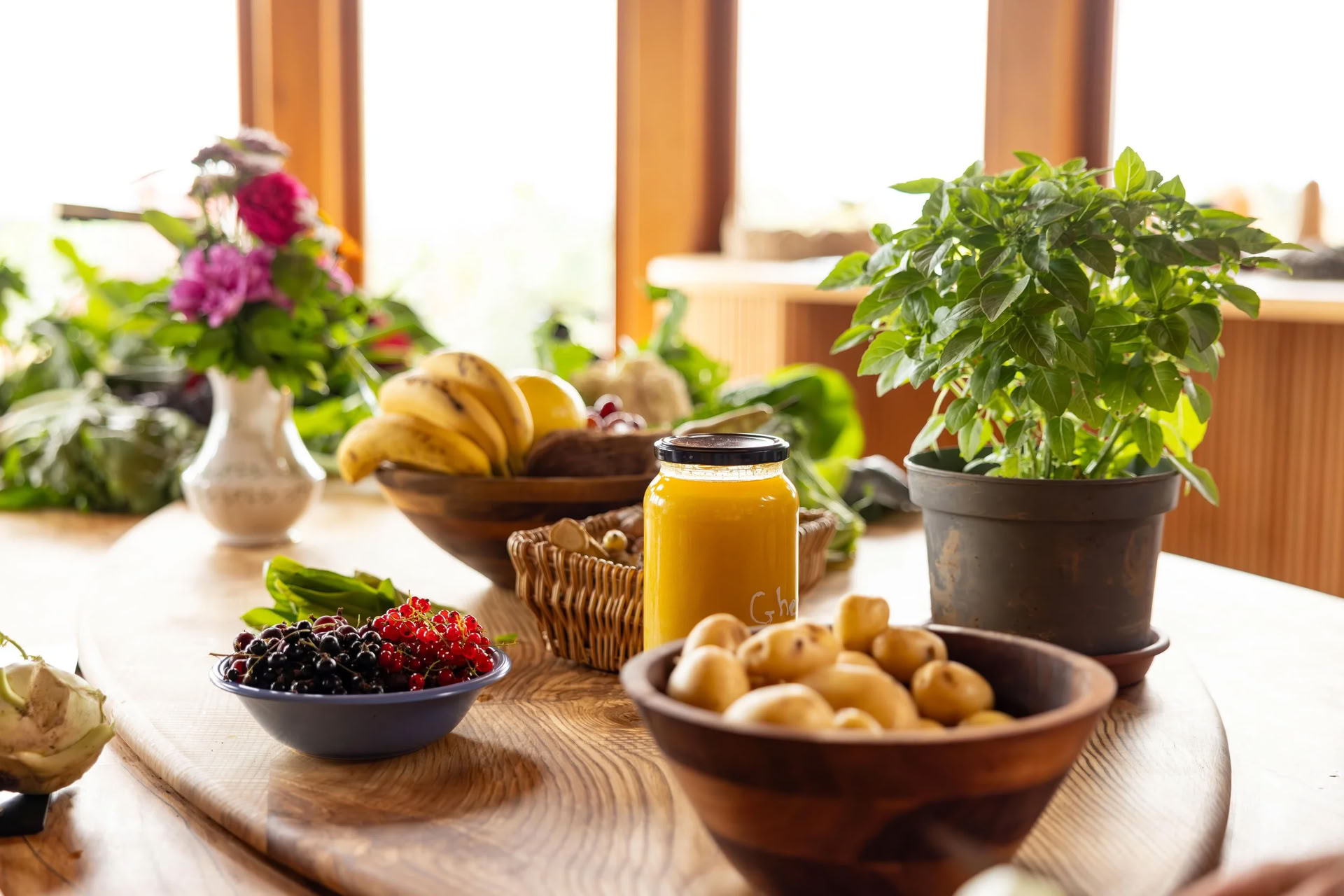 Summer Rejuvenation Workshop