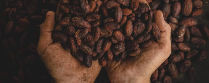 Private Cacao Ceremony