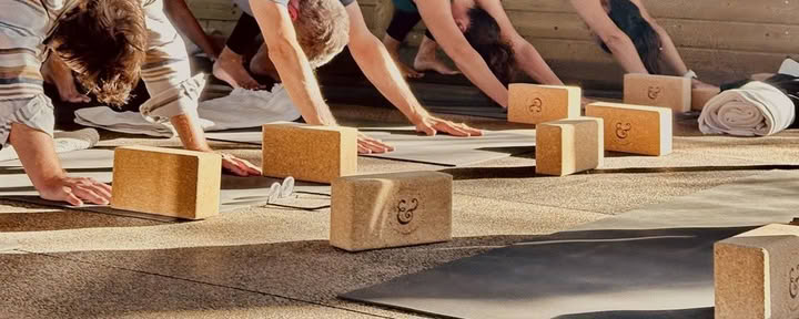 Not-So-Serious Yoga Retreat