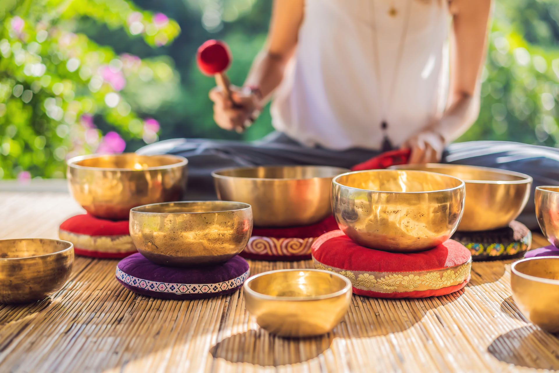 Ayahuasca & Iboga (Vitality Retreat)