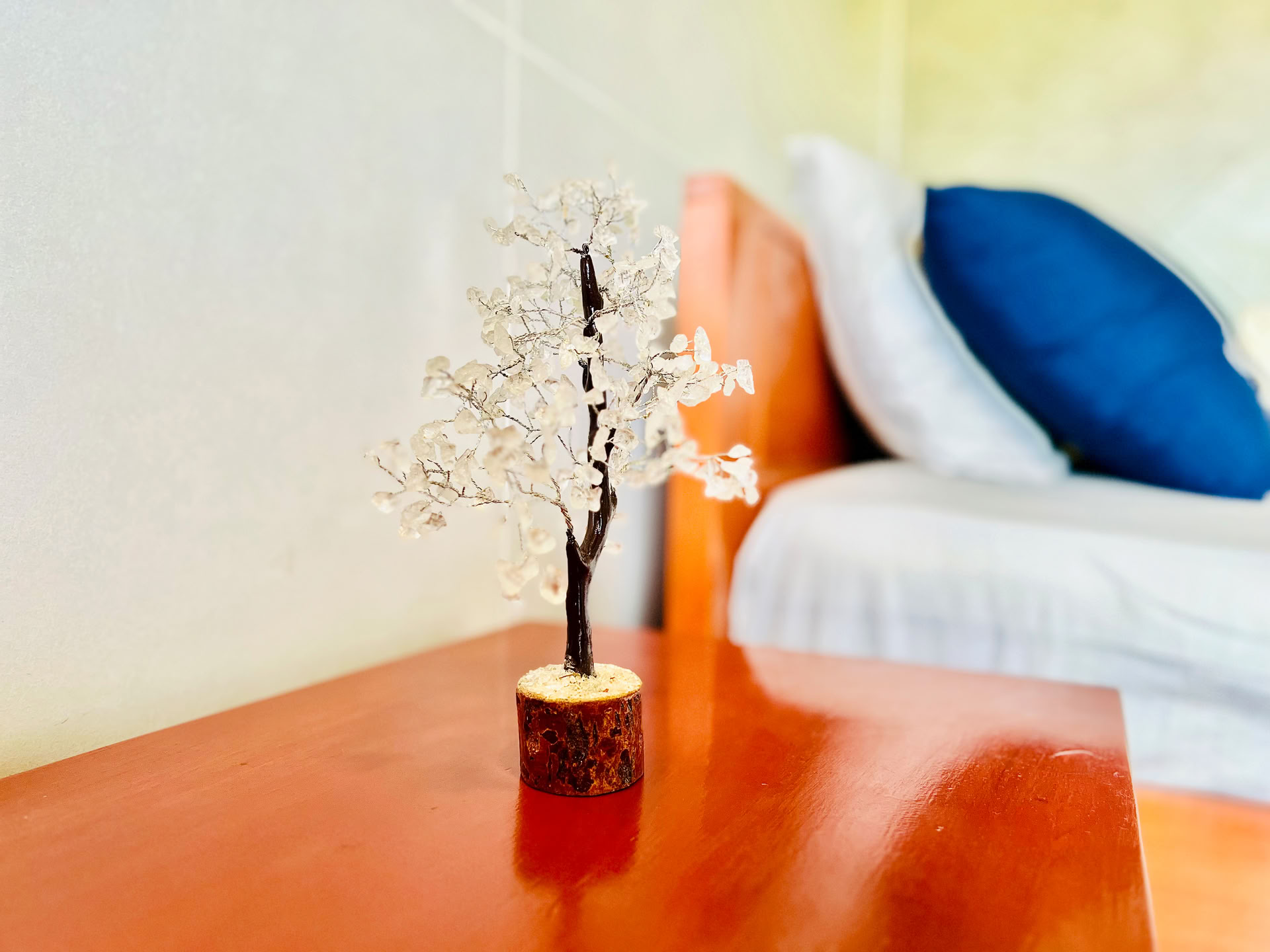 Ayahuasca & Iboga (Vitality Retreat)