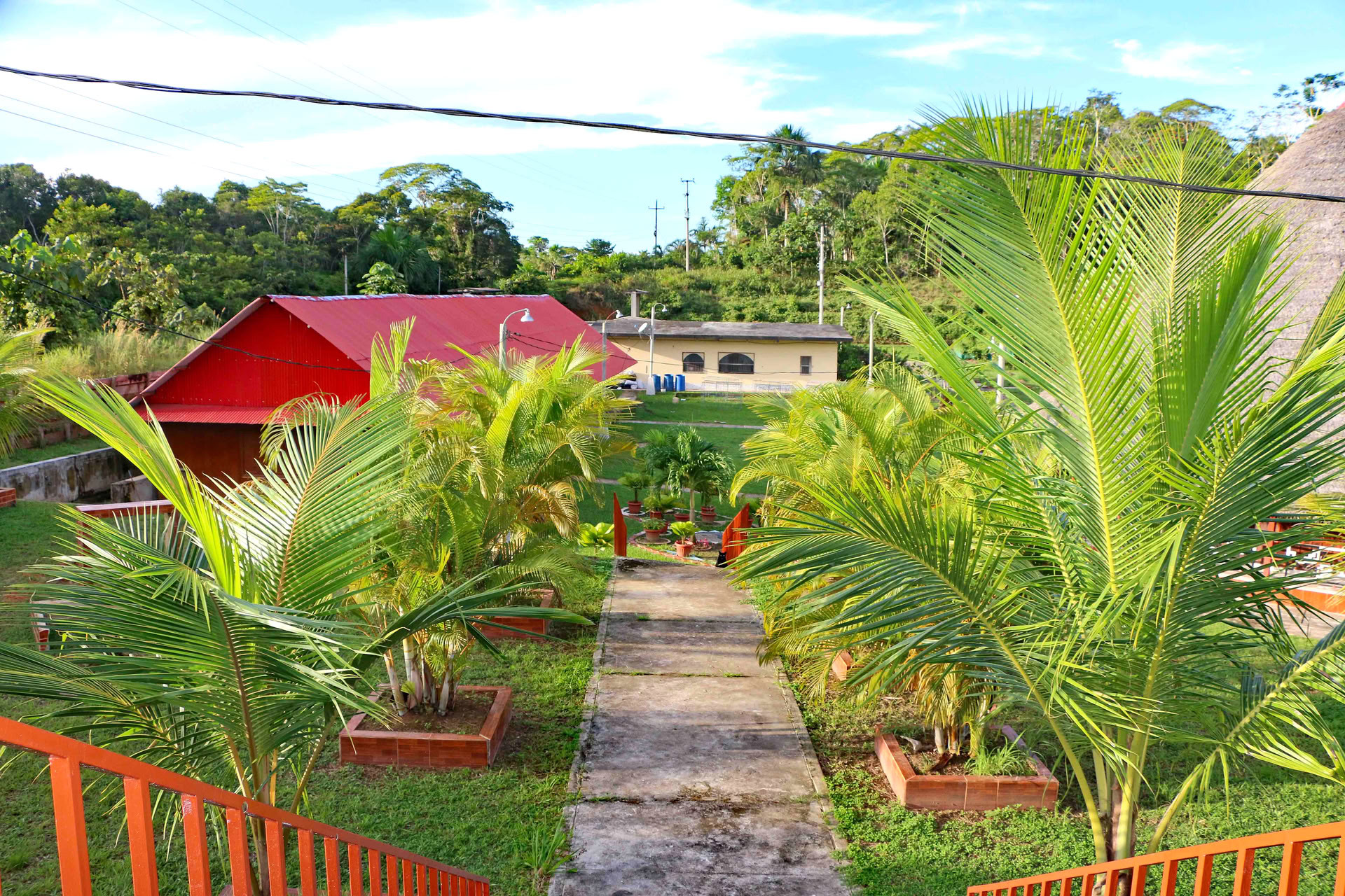 Ayahuasca & Iboga (Vitality Retreat)