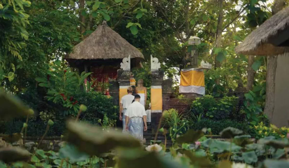 Holistic Longevity Retreat