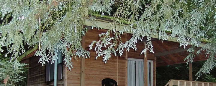 Metta Retreat