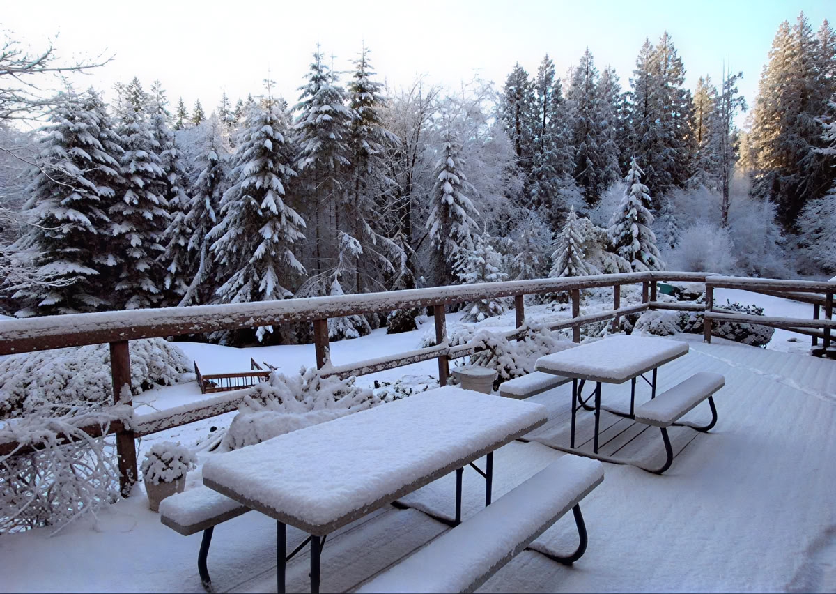 Quieting the Mind, Awakening the Heart: An Insight Meditation Retreat -- LOTTERY RETREAT