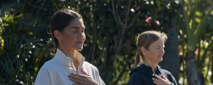 Guided Wellness Experience