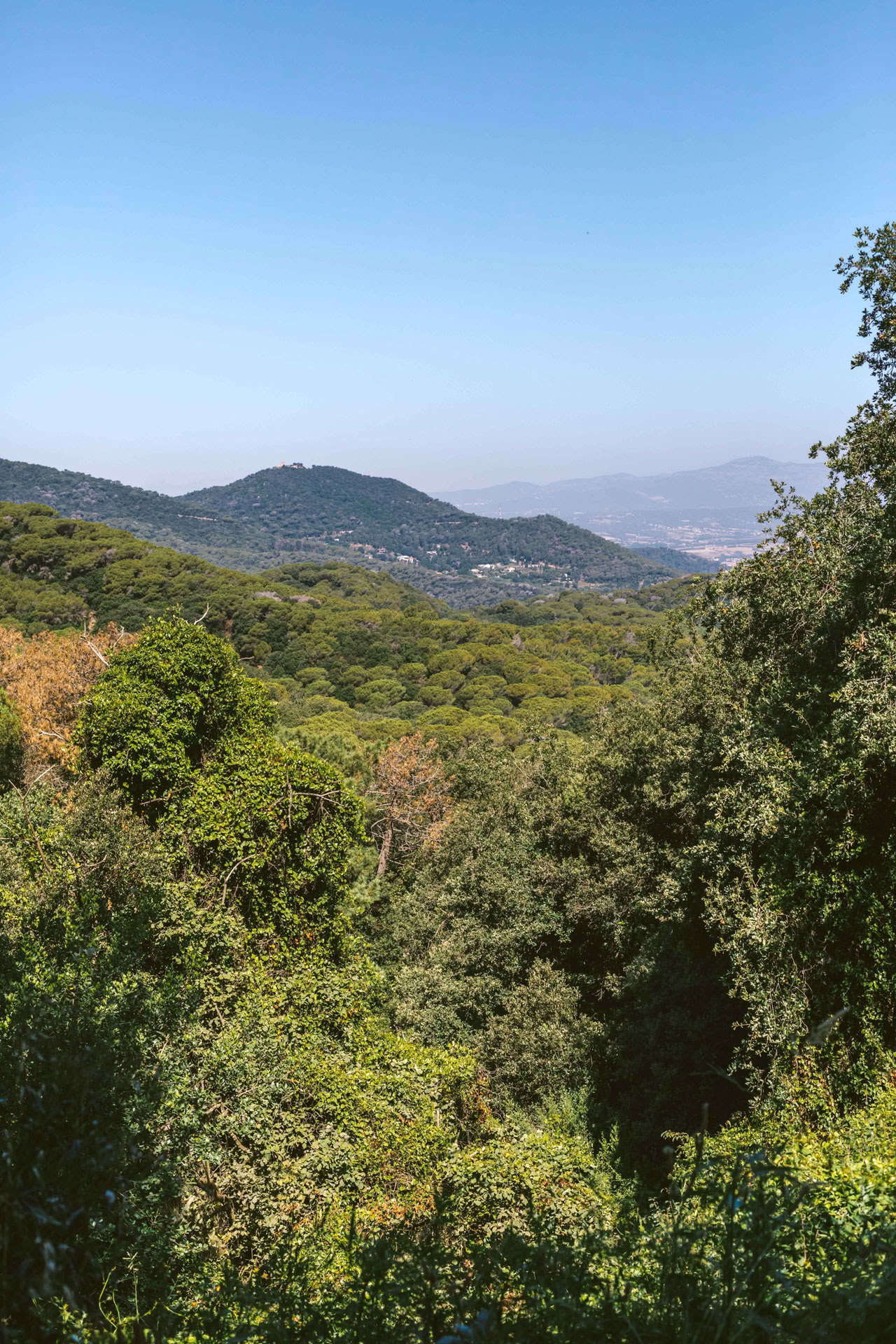 Discovering the Landscape at Every Step