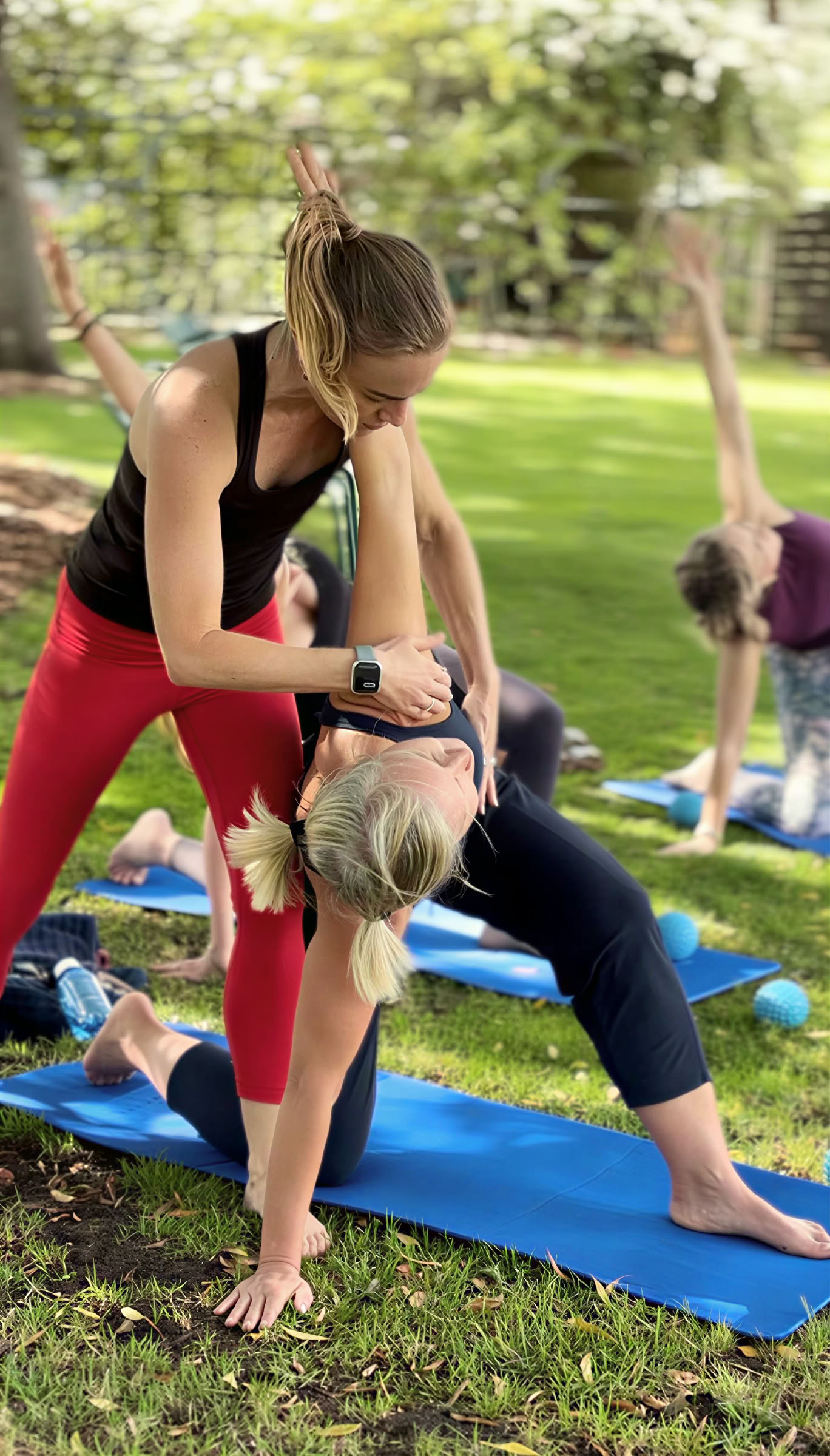 5 days FAMO Fascia Movement Retreat
