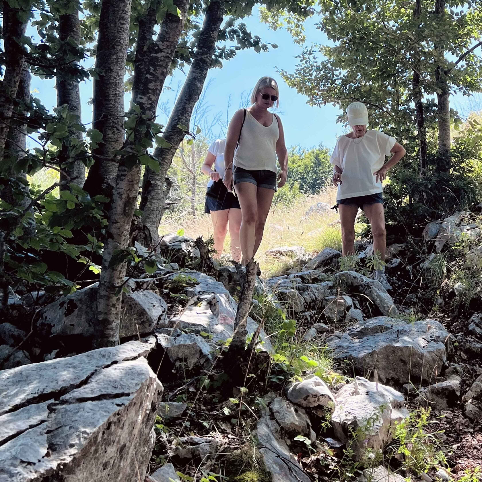 5 days FAMO Fascia Movement Retreat