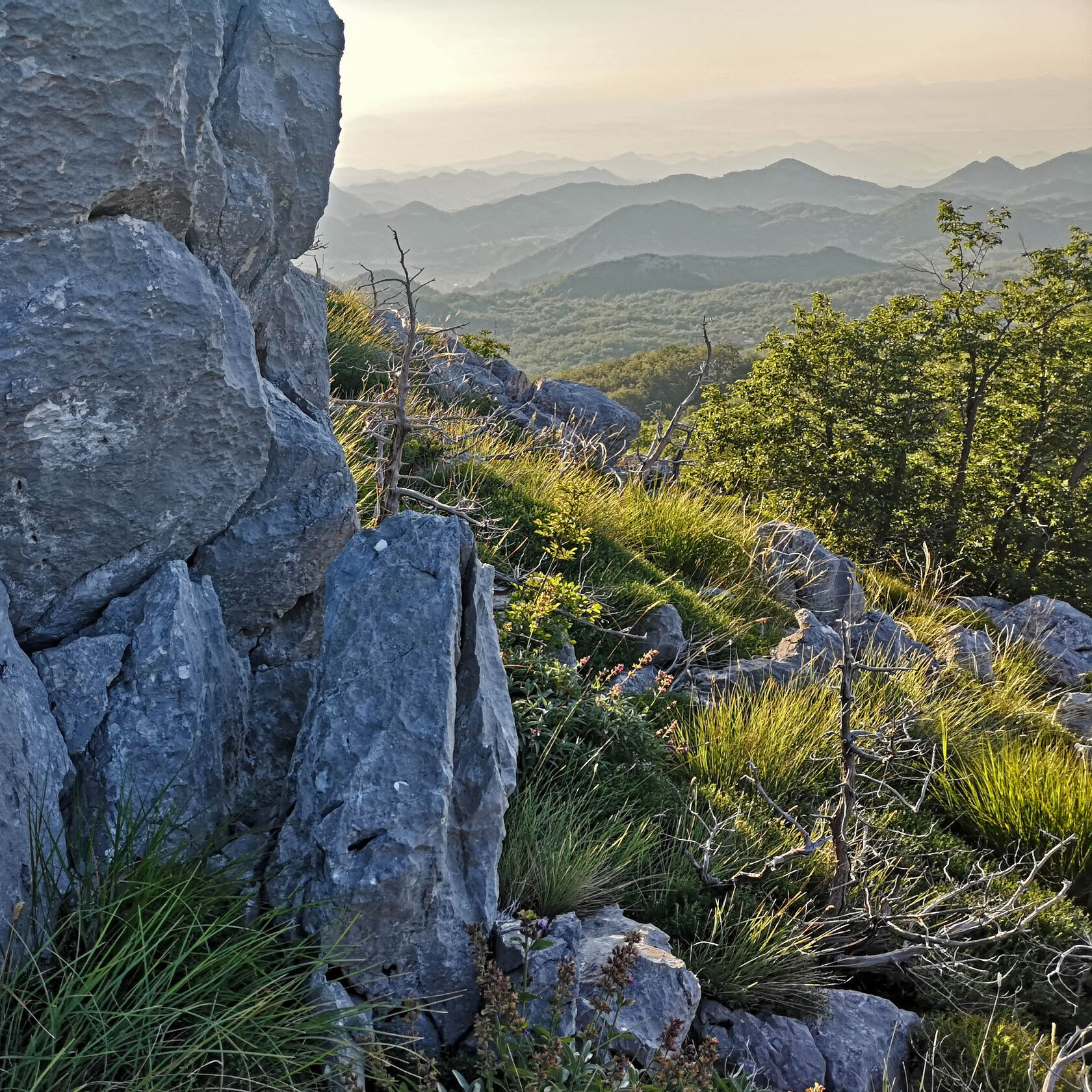 8 days Wild serenity in Montenegro Fitness Retreat