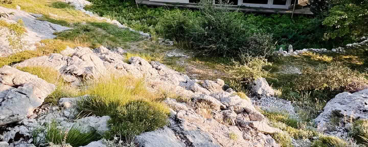 6 days Yoga Retreat Balance, Heal, Recharge