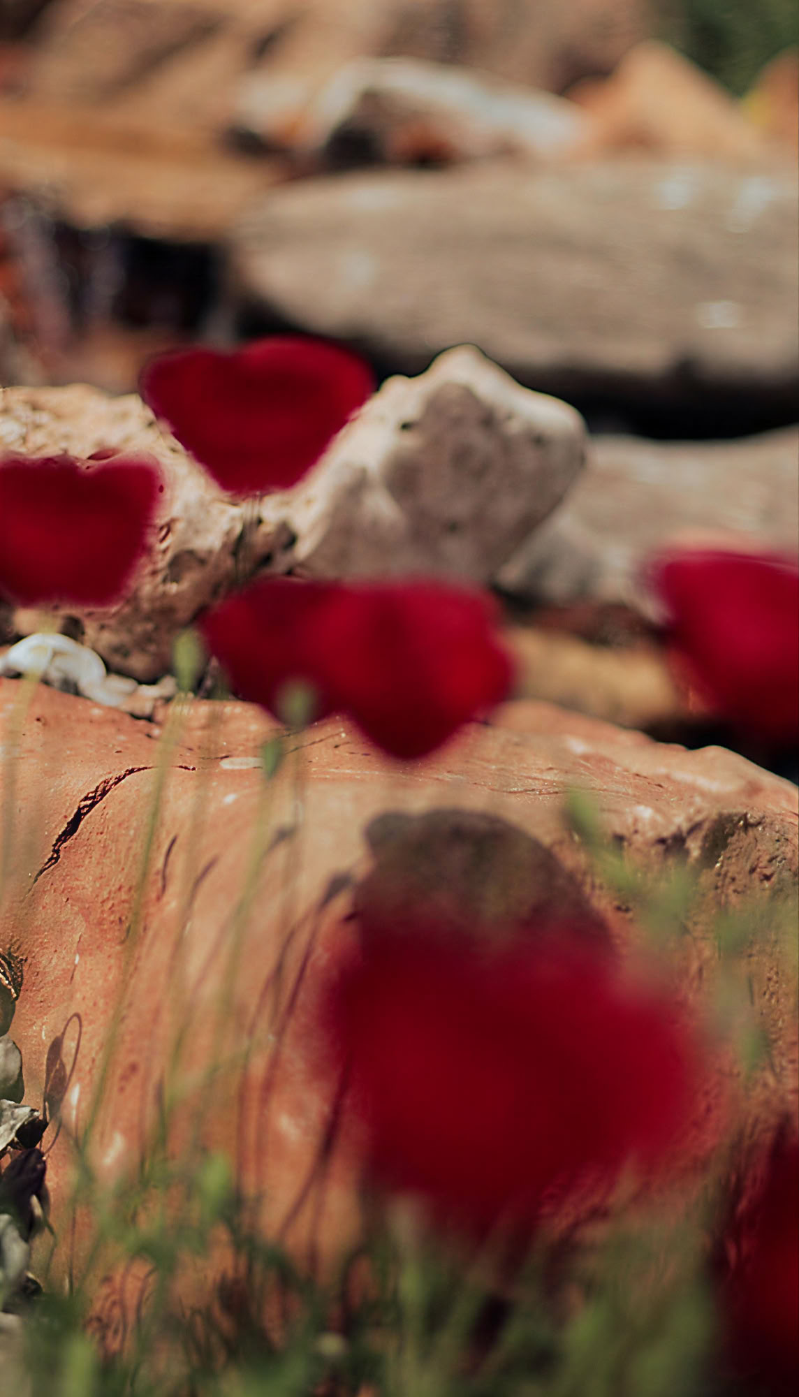 Ancient Beauty - A Creative Art Appreciation Workshop in Greece
