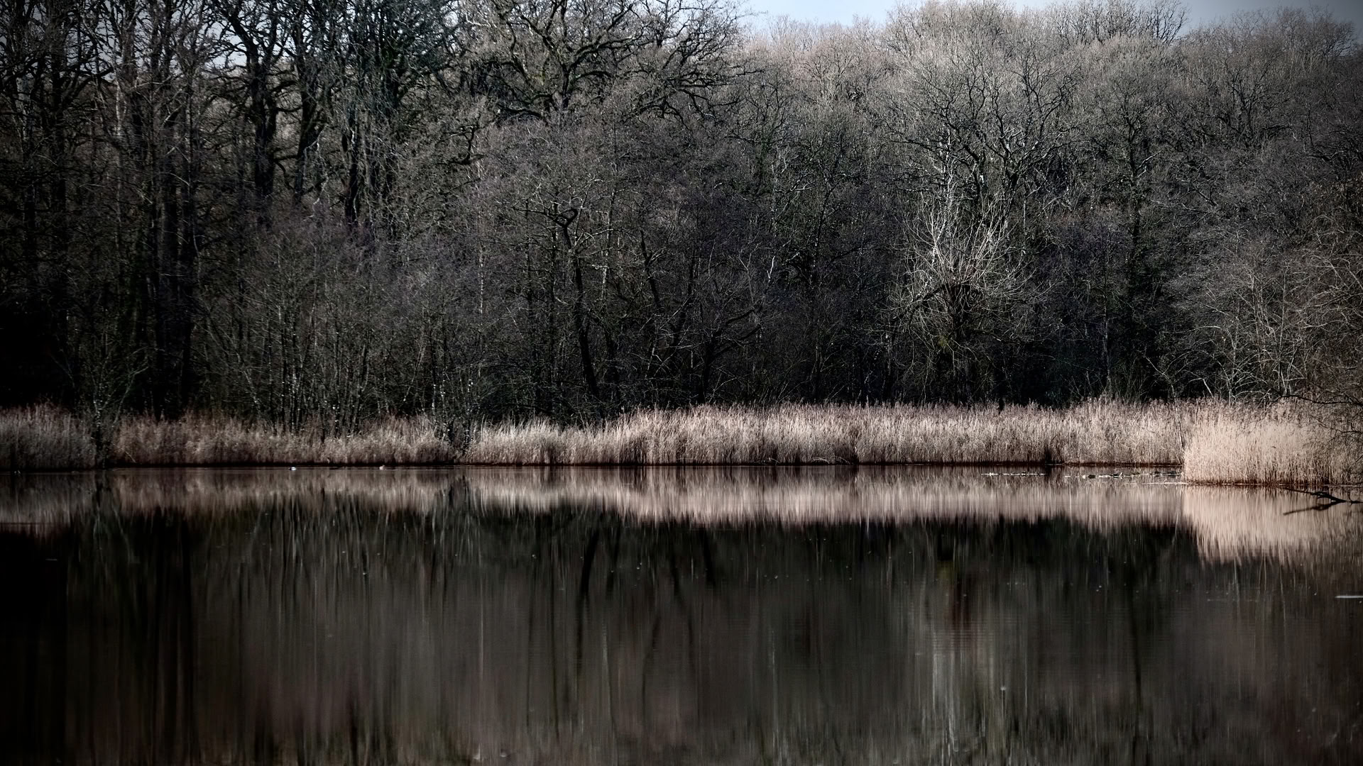 Wild Weekend – Wintering Well