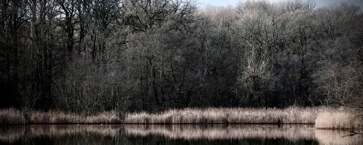Wild Weekend – Wintering Well