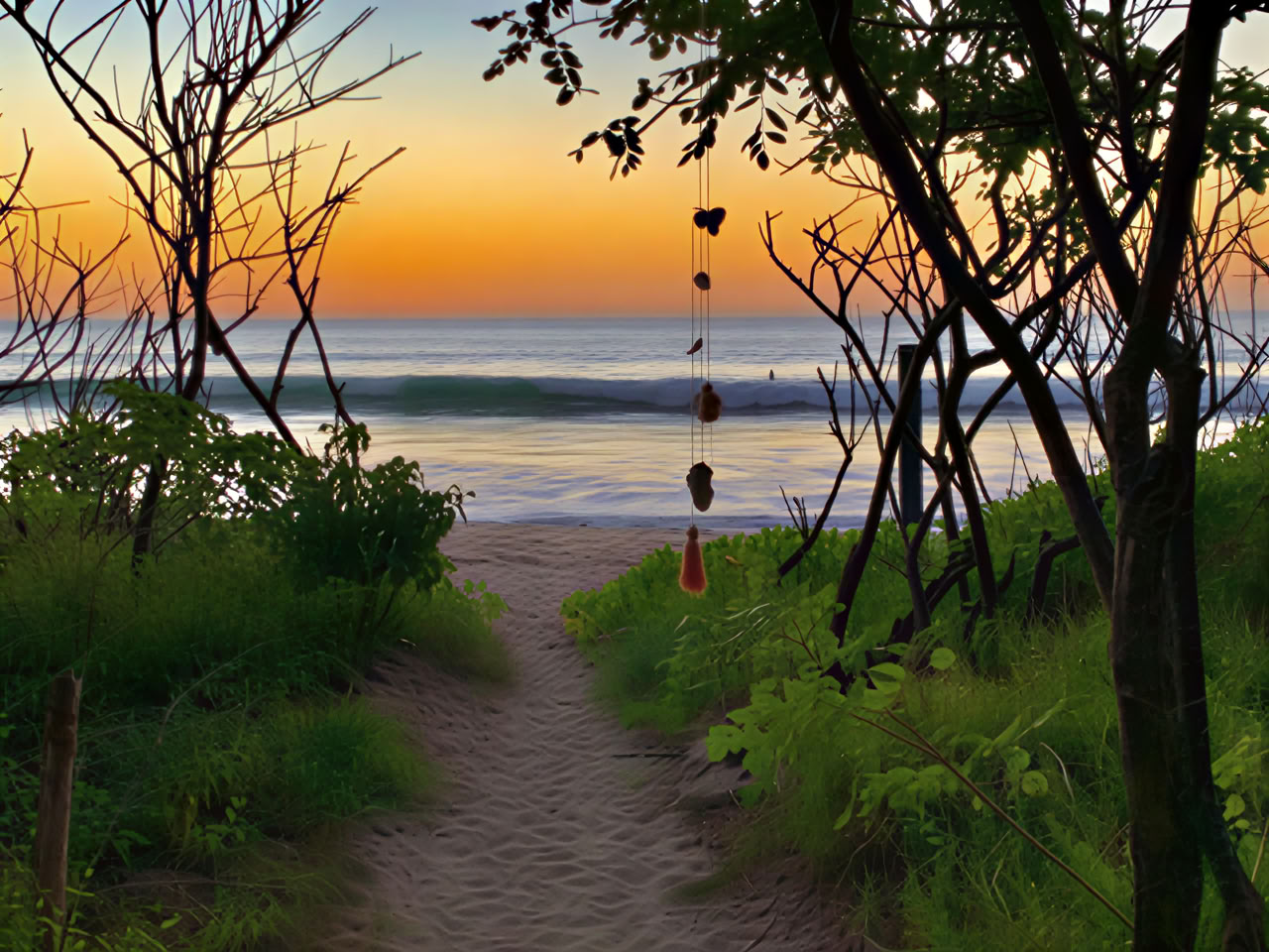 Northern Costa Rica Retreat