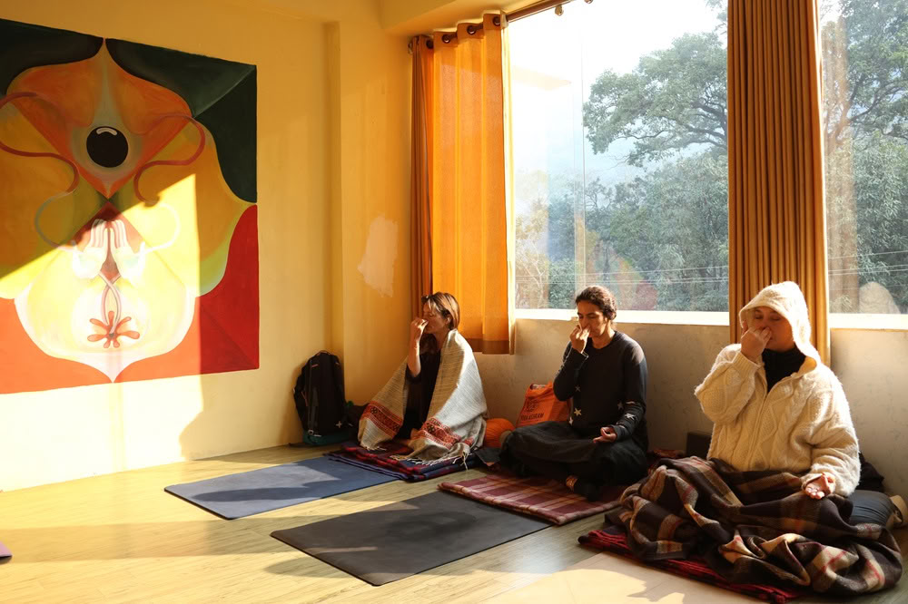100 Hour Yoga Teacher Training in Rishikesh India