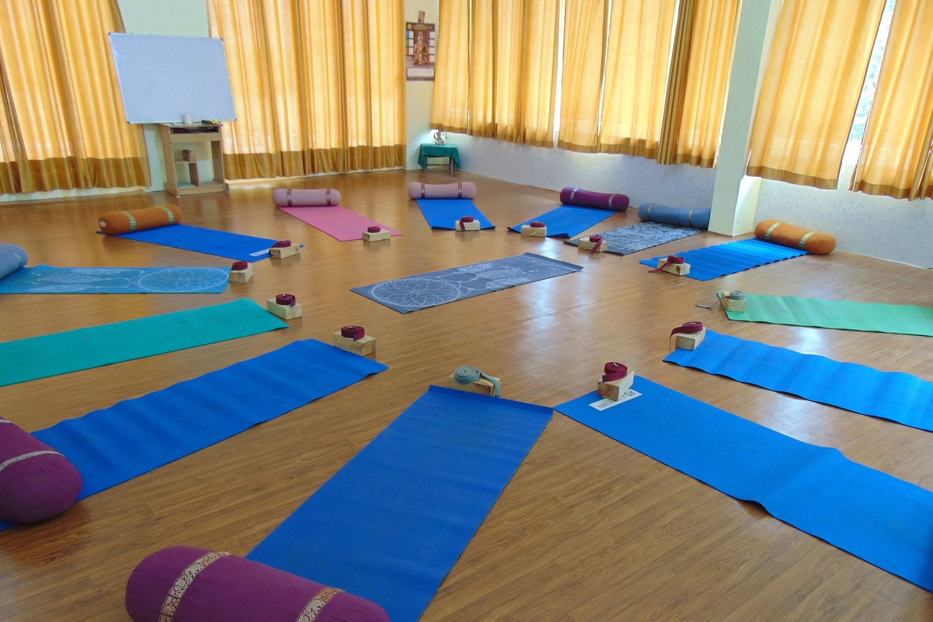 6 Days Yin Yoga Course in Rishikesh